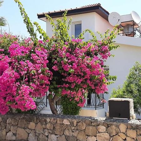 Villa Bougainvillea With Privite Pool Vasilia Bagian luar foto