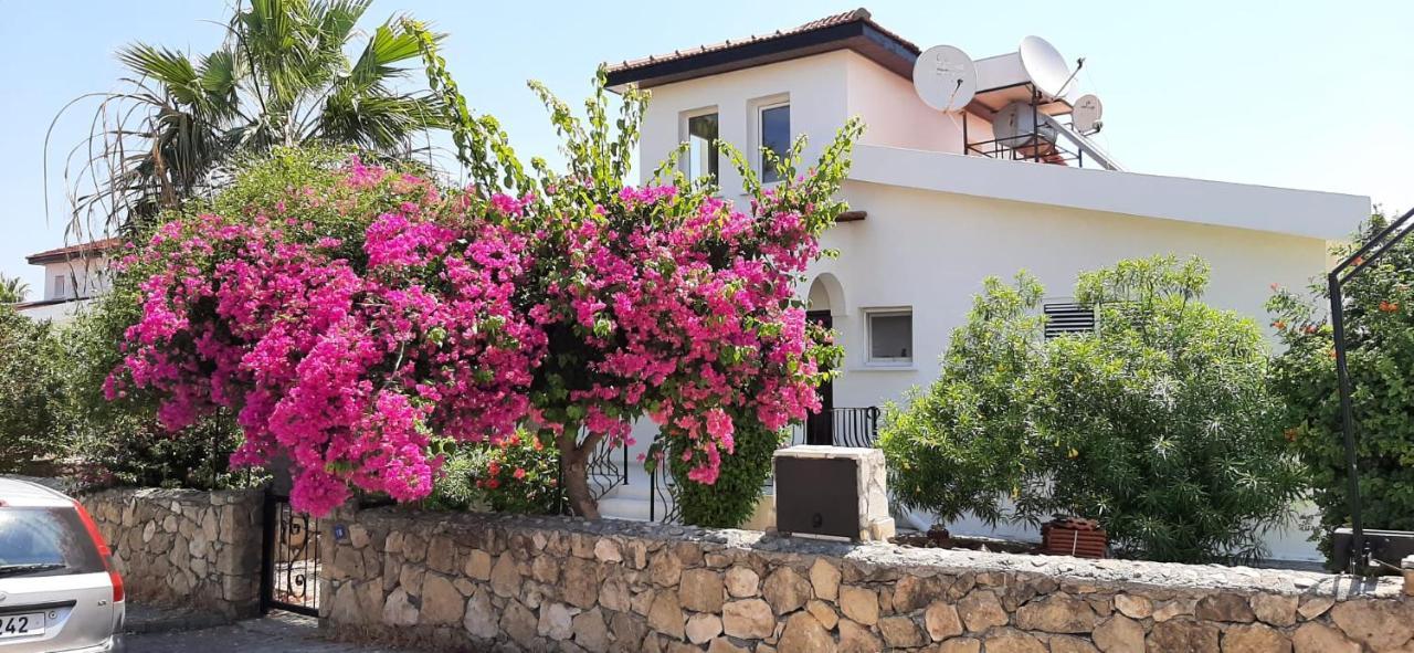 Villa Bougainvillea With Privite Pool Vasilia Bagian luar foto