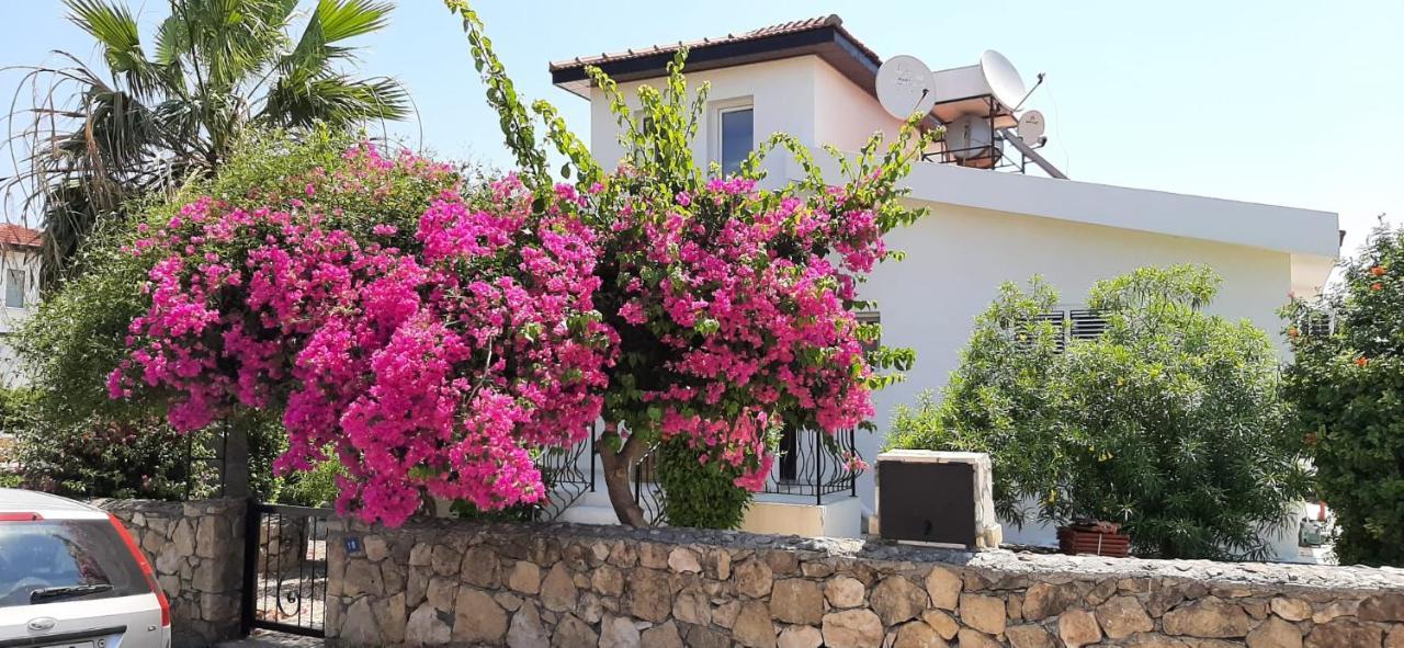 Villa Bougainvillea With Privite Pool Vasilia Bagian luar foto