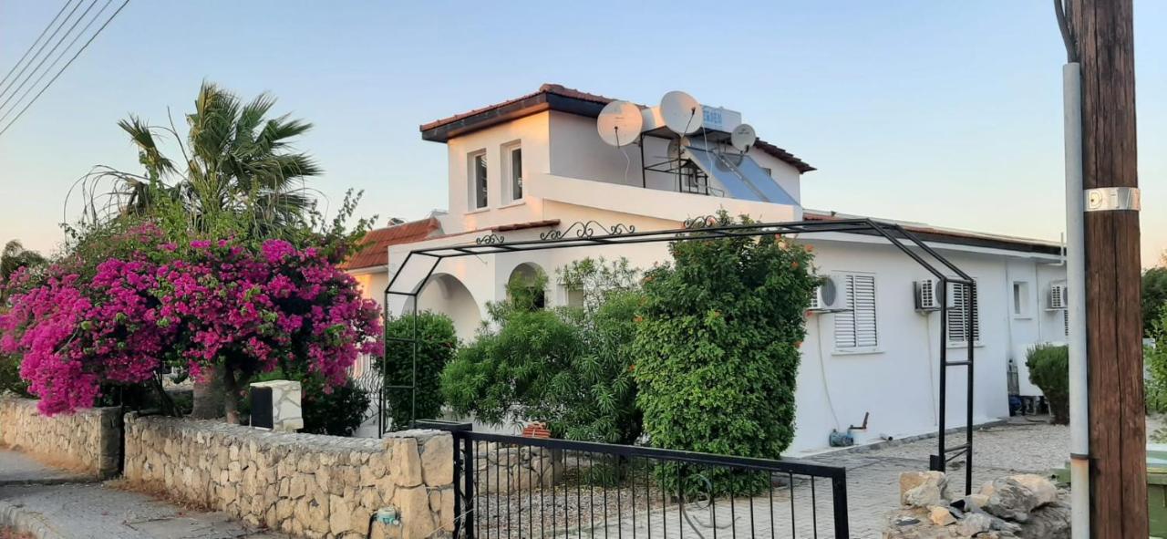 Villa Bougainvillea With Privite Pool Vasilia Bagian luar foto