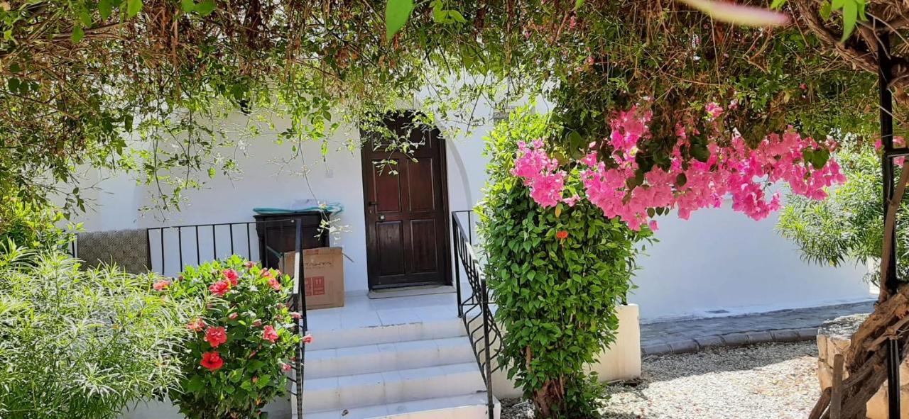 Villa Bougainvillea With Privite Pool Vasilia Bagian luar foto